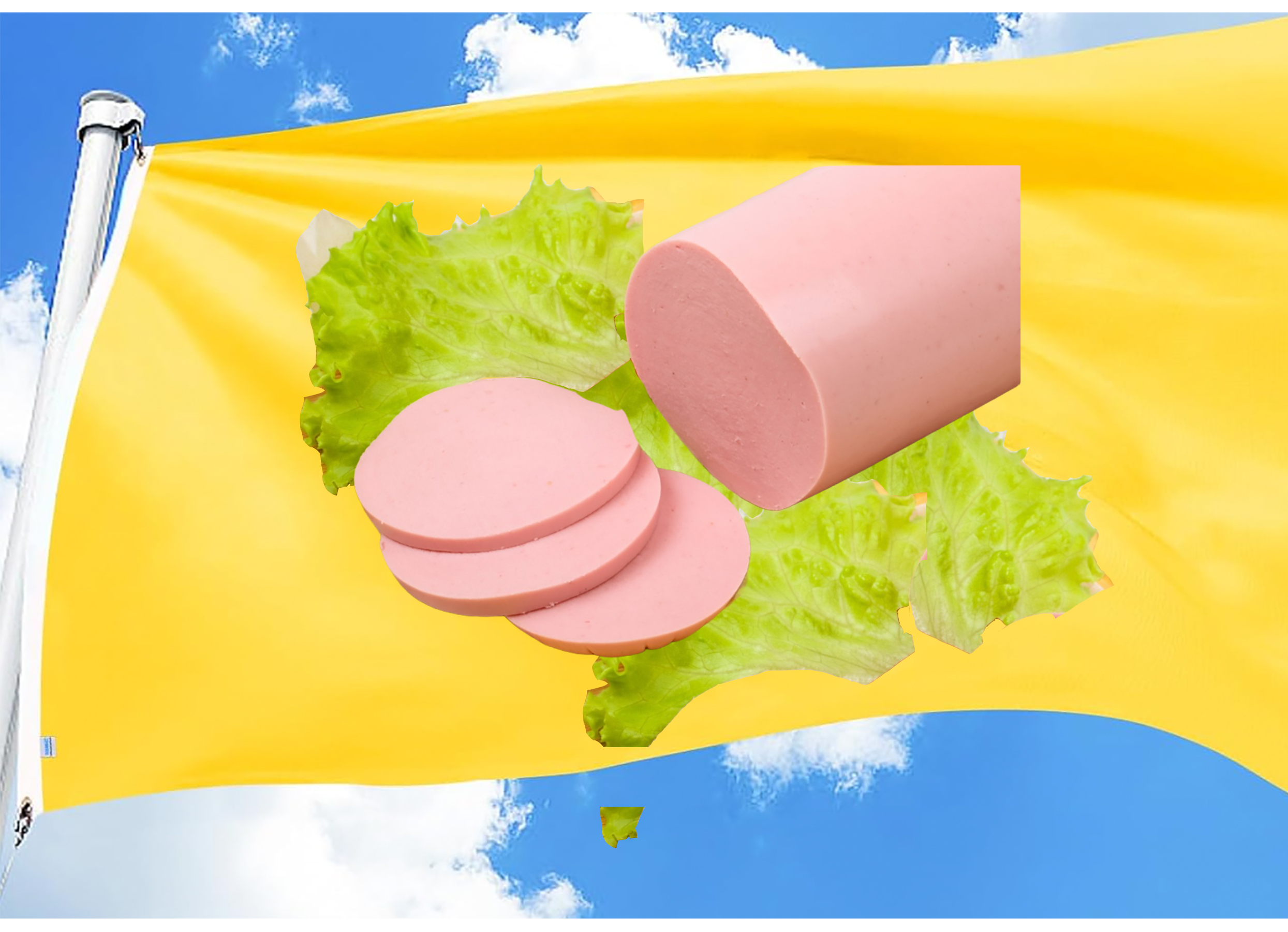 Bologna flag copy.jpg